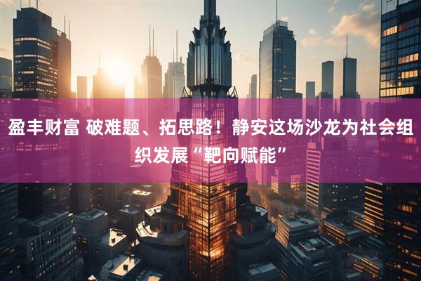 盈丰财富 破难题、拓思路！静安这场沙龙为社会组织发展“靶向赋能”