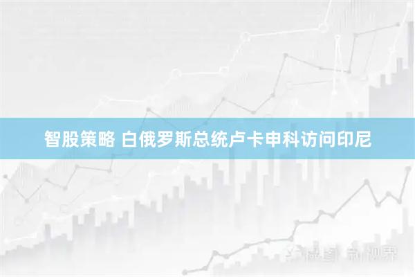 智股策略 白俄罗斯总统卢卡申科访问印尼