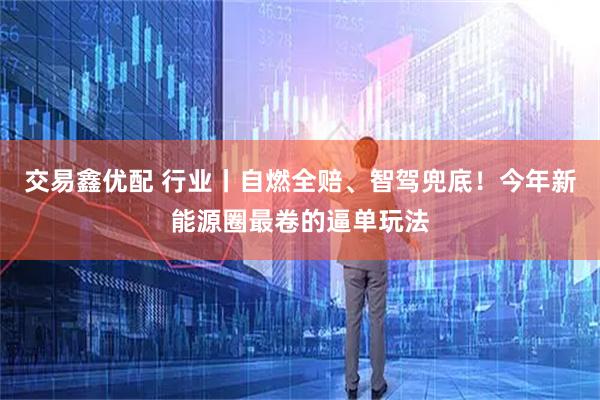 交易鑫优配 行业丨自燃全赔、智驾兜底！今年新能源圈最卷的逼单玩法